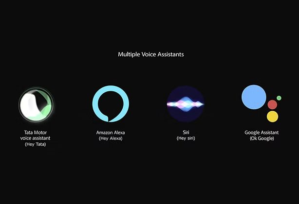 Multiple Voice Assistants
