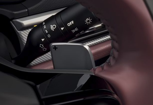 Paddle Shifters