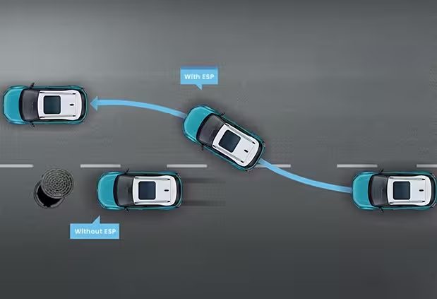 Electronic Stability Program (ESP)