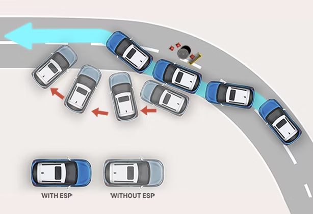 Electronic Stability Program (ESP)