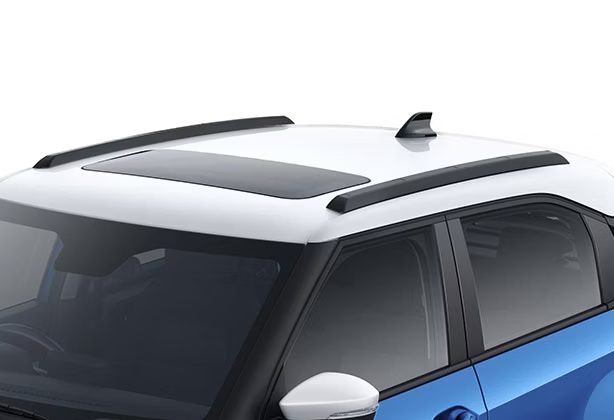 Stylish Roof Rails