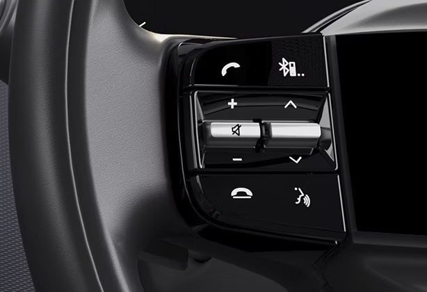 Steering-Mounted Audio & Phone Controls